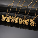 Mon collier favori N°348